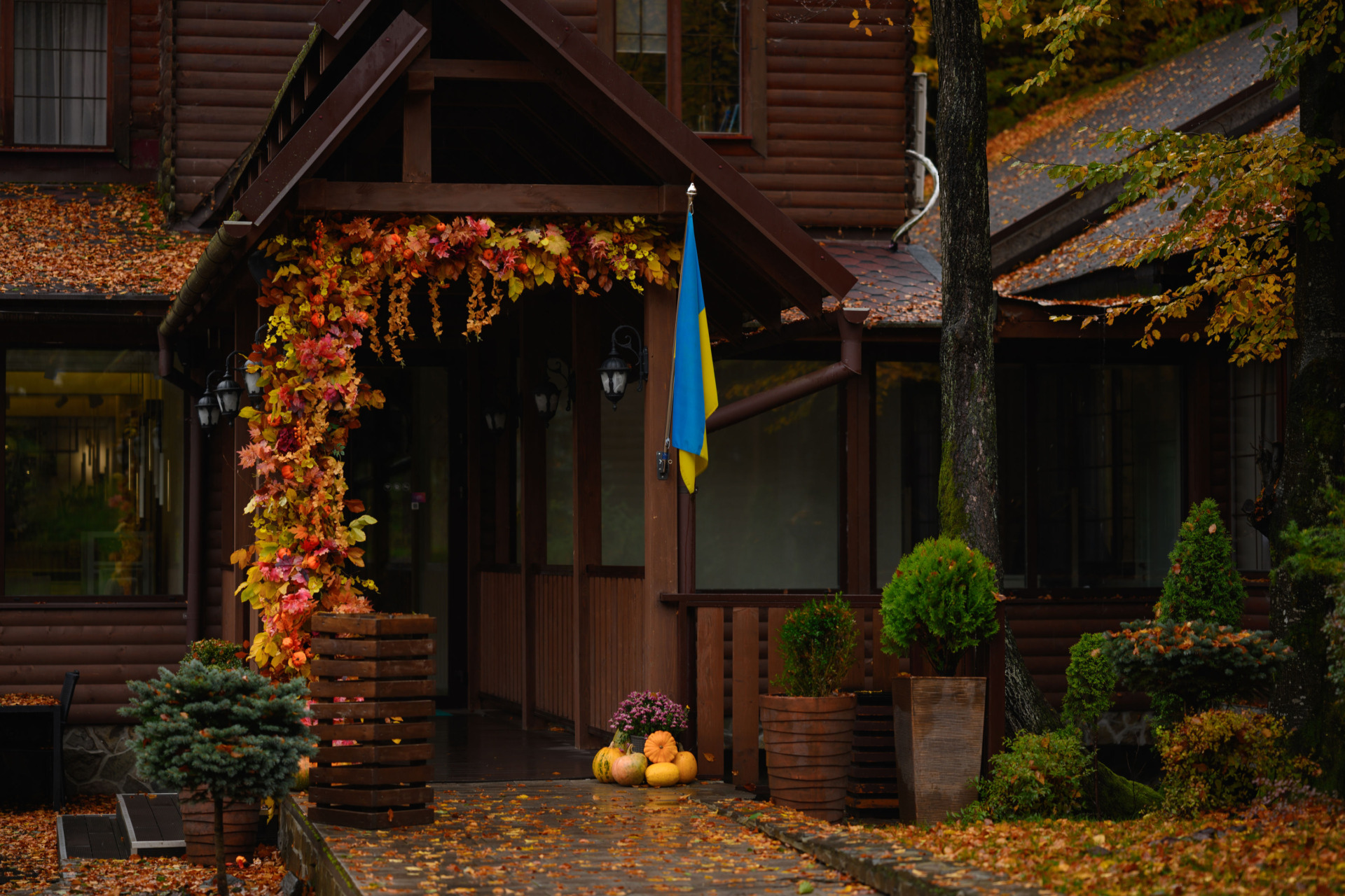 vasya.shtefaniak 29